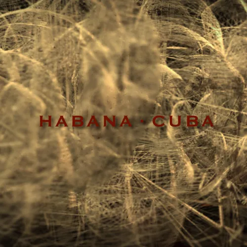 Festival Habano — Gala Night