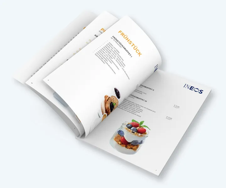 INEOS IN.CARE Sales Brochures — project detail