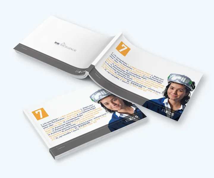 INEOS Safety | Health | Environment — project detail