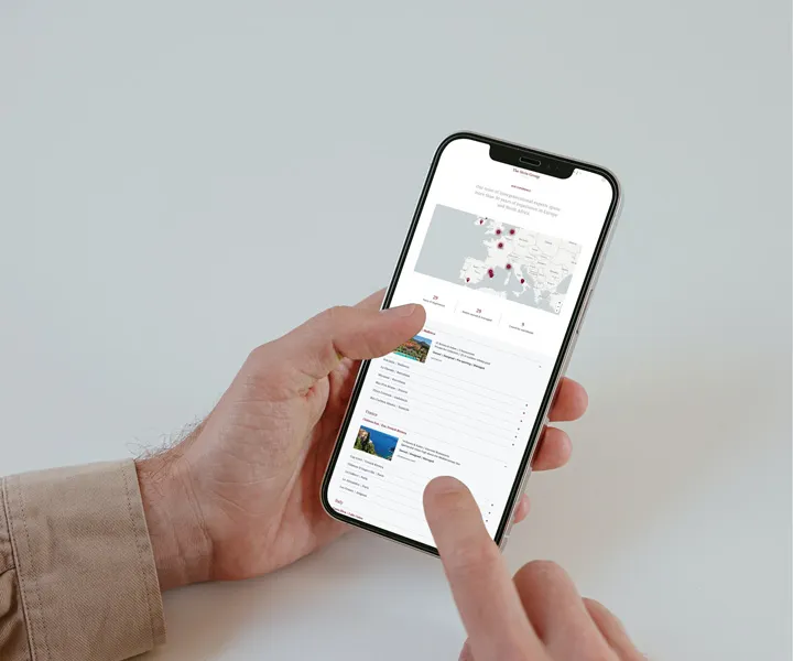 The Stein Group — project detail