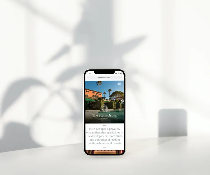 The Stein Group — project detail