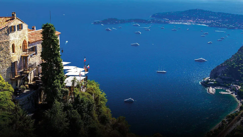 The Stein Group — project detail